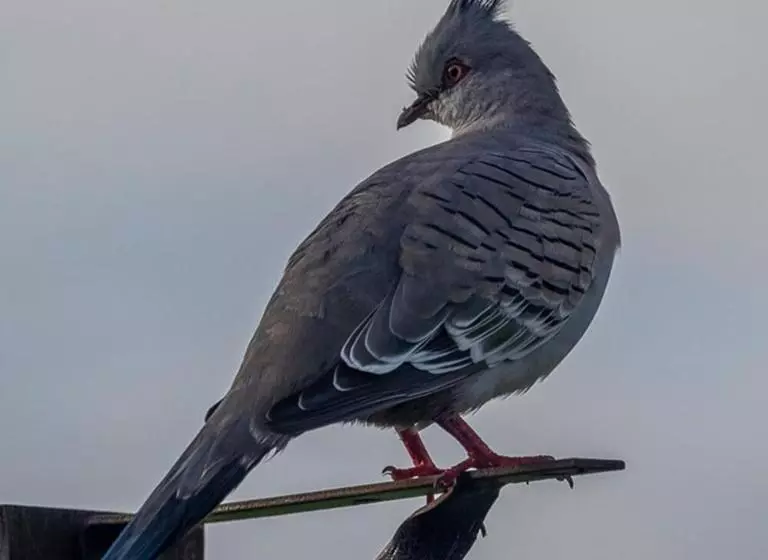 Aamiaismajoitus (B&B) La Dolce Vita