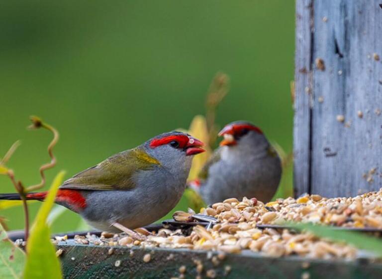 Bed and Breakfast La Dolce Vita