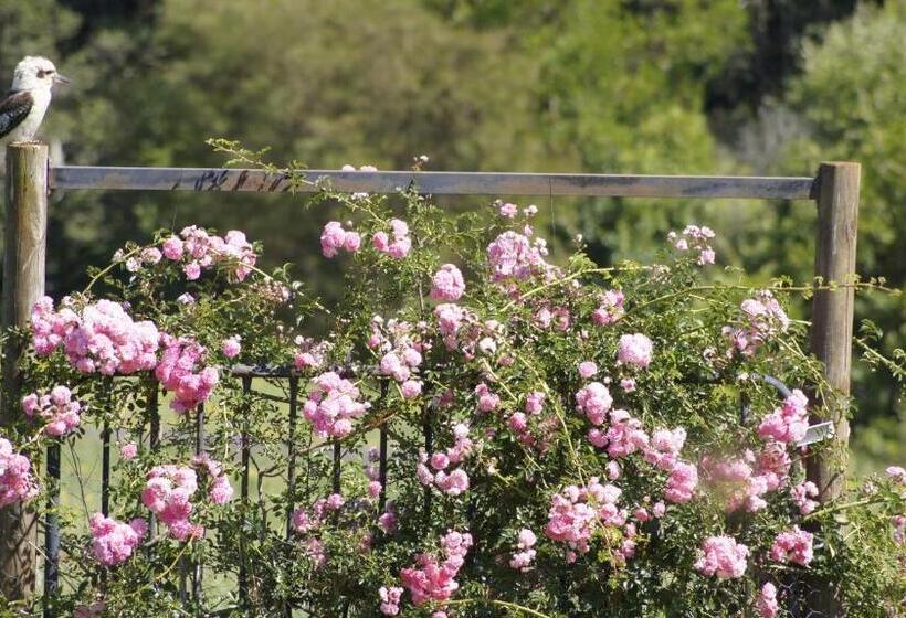 Bed and Breakfast La Dolce Vita