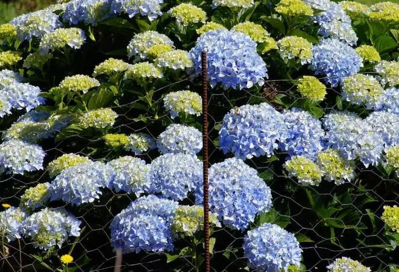 Aamiaismajoitus (B&B) La Dolce Vita