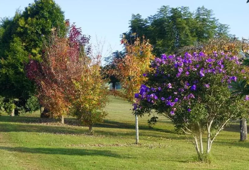 Aamiaismajoitus (B&B) La Dolce Vita