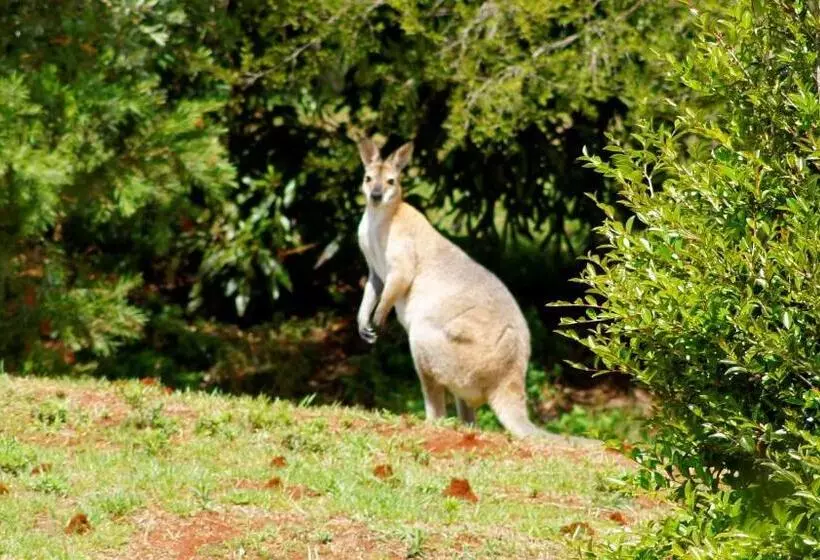 Aamiaismajoitus (B&B) La Dolce Vita