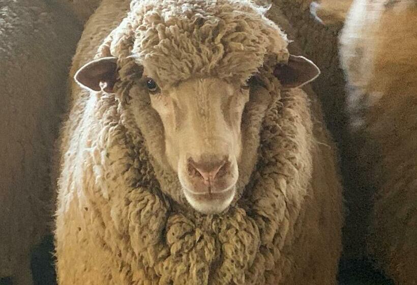 ベッドアンドブレックファースト Mascot Cottage Pet Friendly And Complimentary Breakfast Hamper