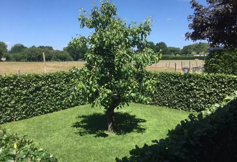 Bed & Breakfast Bennekom