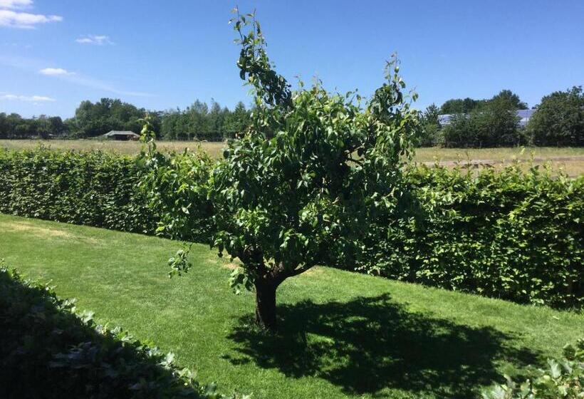 Bed & Breakfast Bennekom