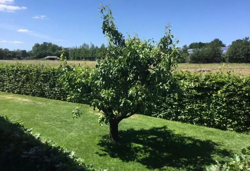 Bed & Breakfast Bennekom