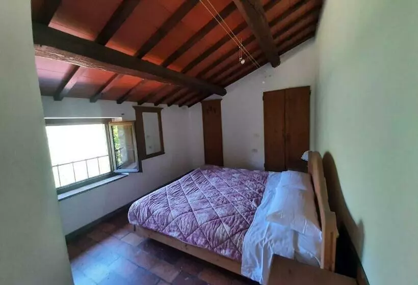 ホテル Agriturismo Cà Nova
