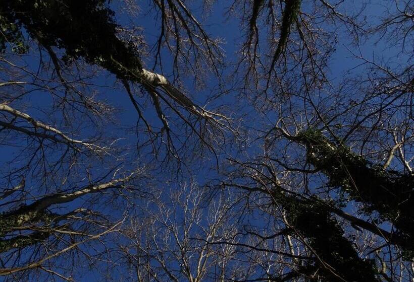 Szálloda Corte Isolo