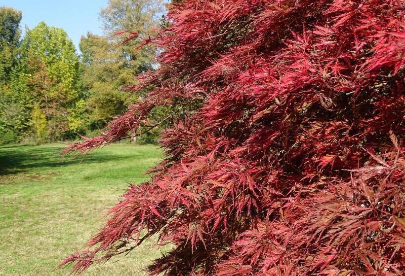 Szálloda Corte Isolo