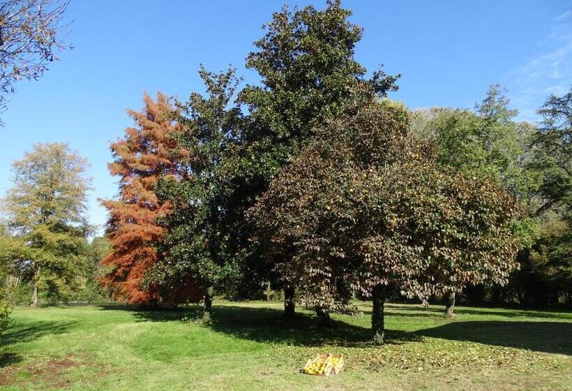 Szálloda Corte Isolo