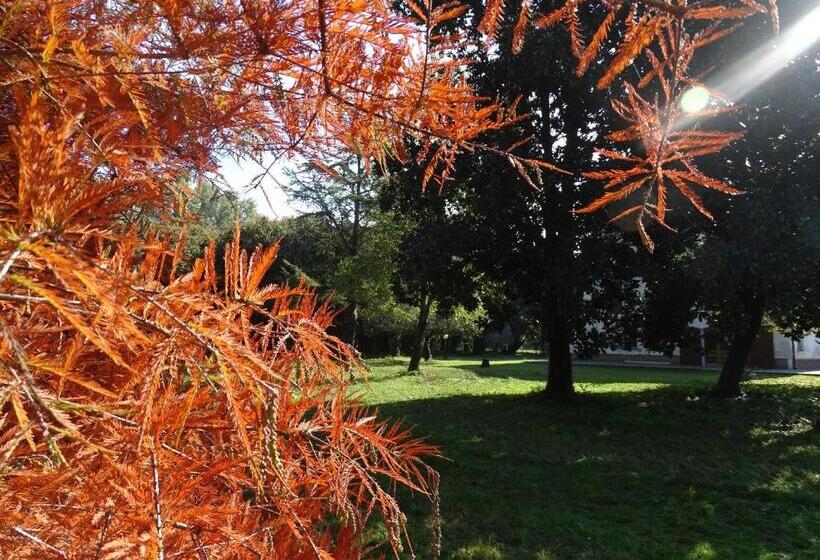 Szálloda Corte Isolo