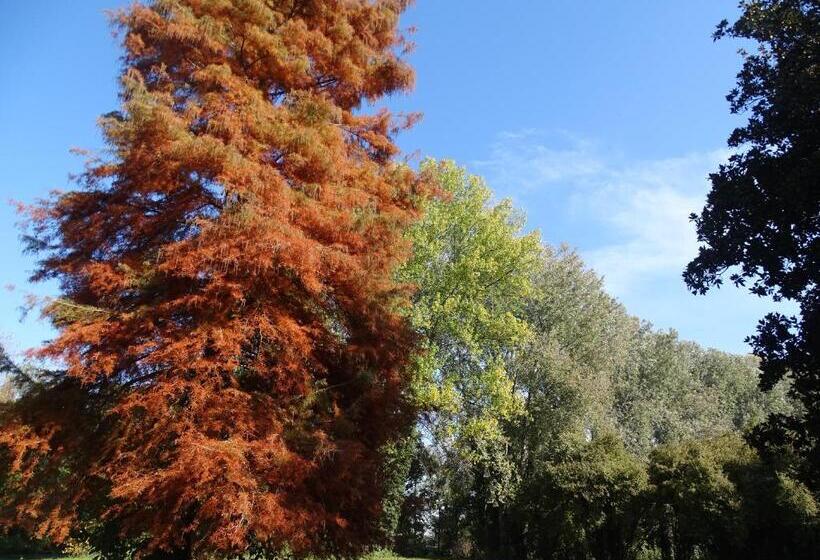 Szálloda Corte Isolo