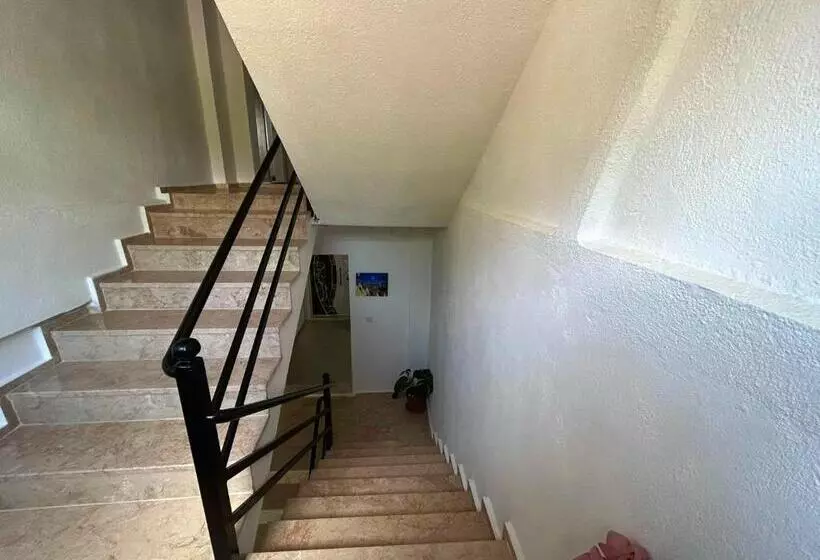 Paradise House