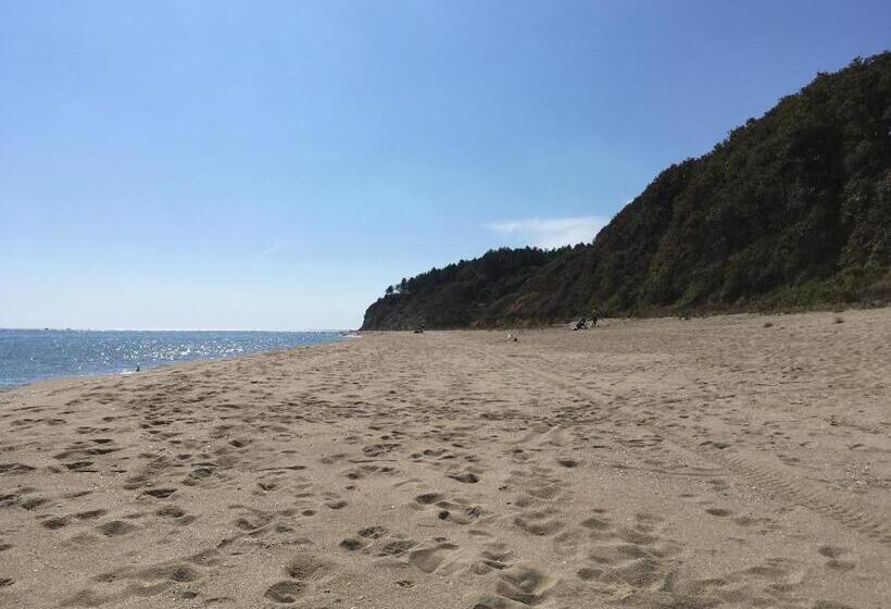 پانسیون Guest House Zornica In Obzor