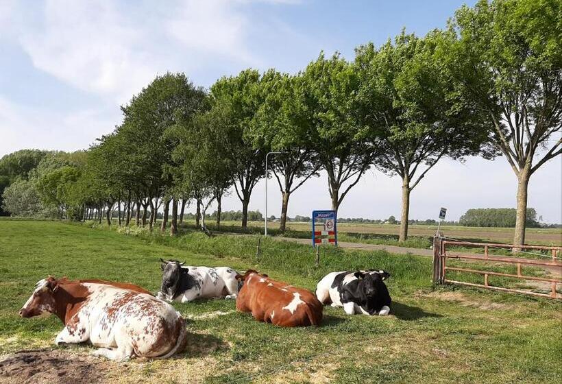 住宿加早餐  Mahil Laya