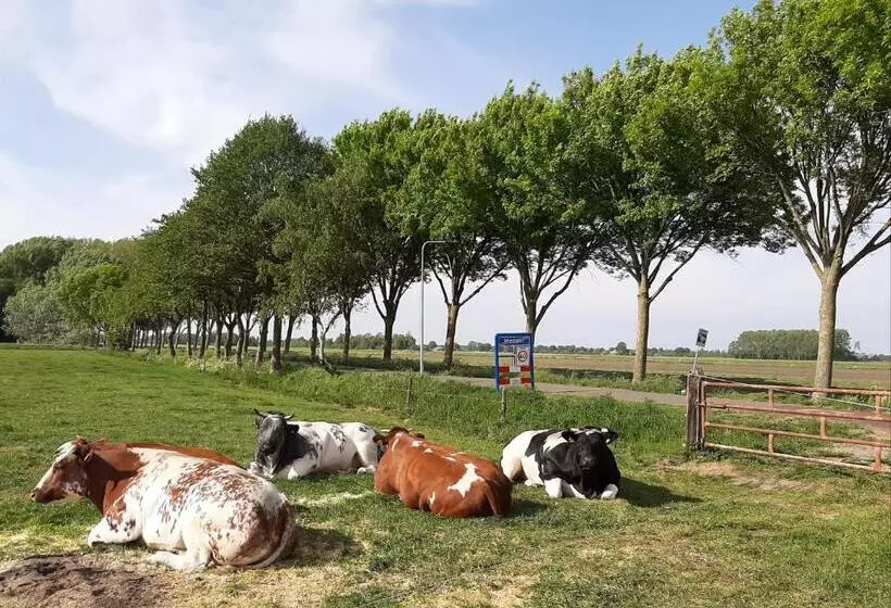 Bed and Breakfast Mahil Laya