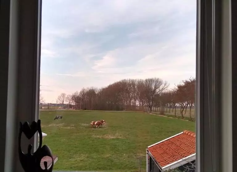 Bed and Breakfast Mahil Laya