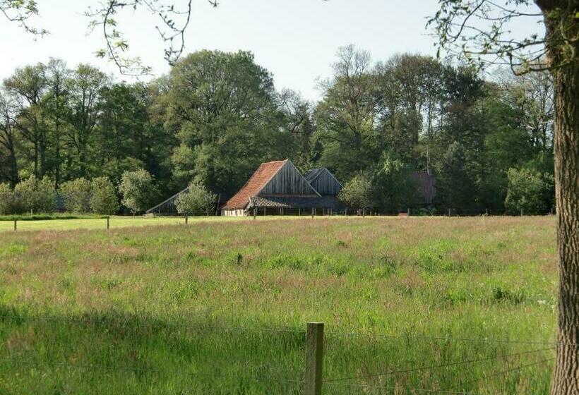 مبيت وإفطار T Buitenverblijf Erve Punte