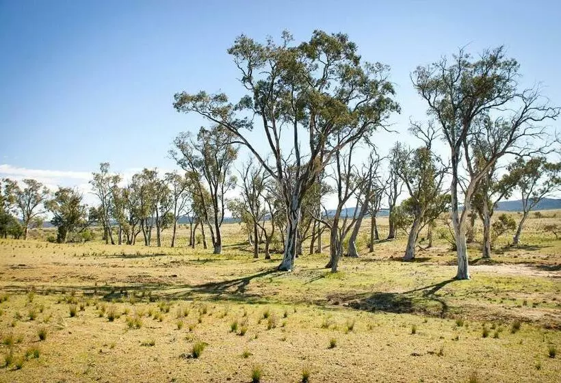 Hotelli Holowiliena Station & The Outback Blacksmith