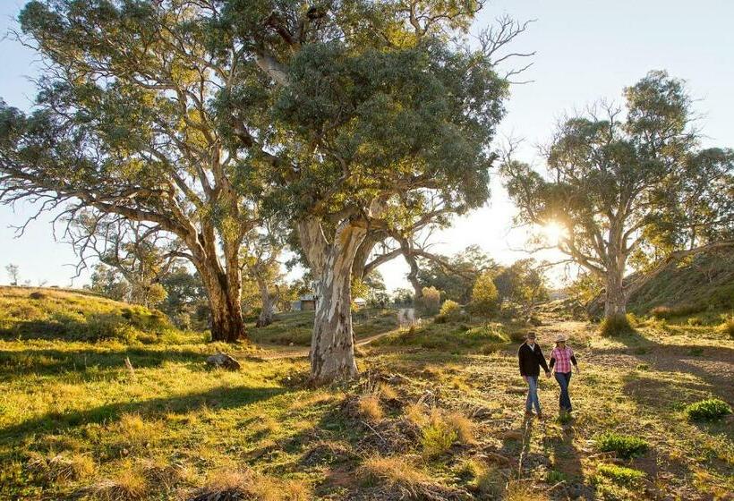 Hotel Holowiliena Station & The Outback Blacksmith