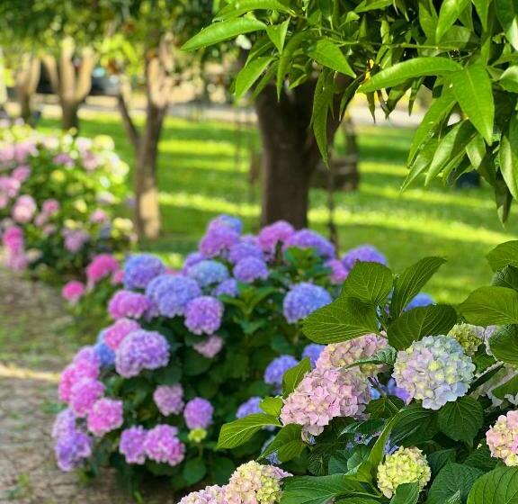 فندق Quinta Da Salada   Turismo Rural