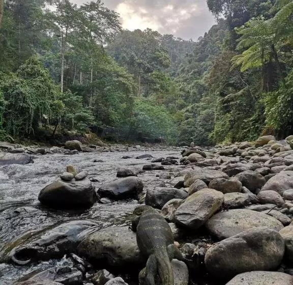 Lomakeskus Gino S Place   Guest House & Jungle Trekking