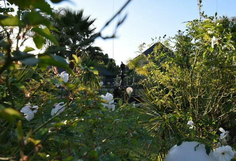 Thabong Bed And Breakfast