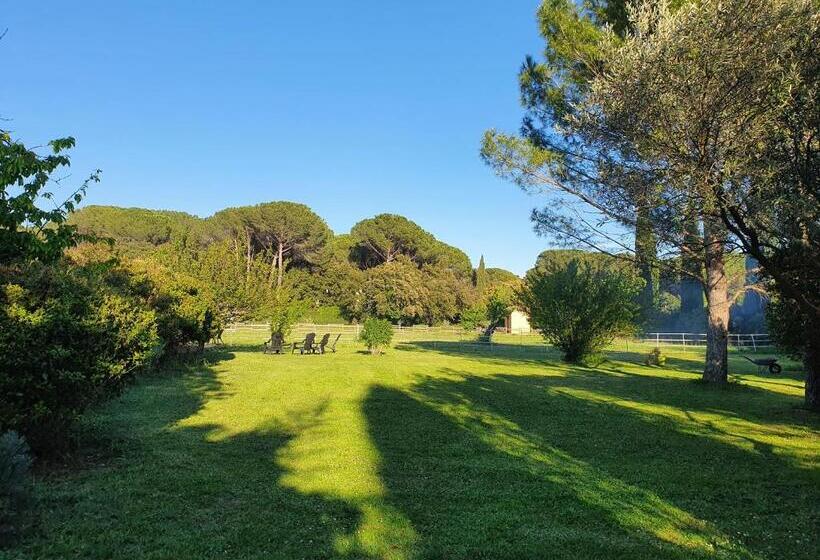 住宿加早餐 Aux Berges Du Pont Du Gard