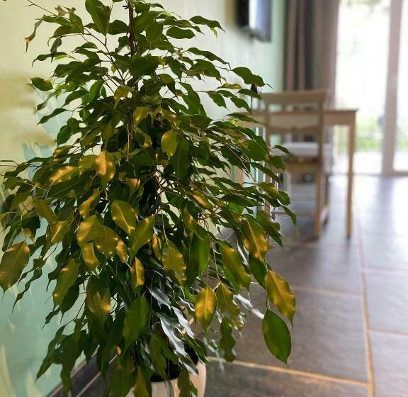 민박 Handbooghoeve Leffinge