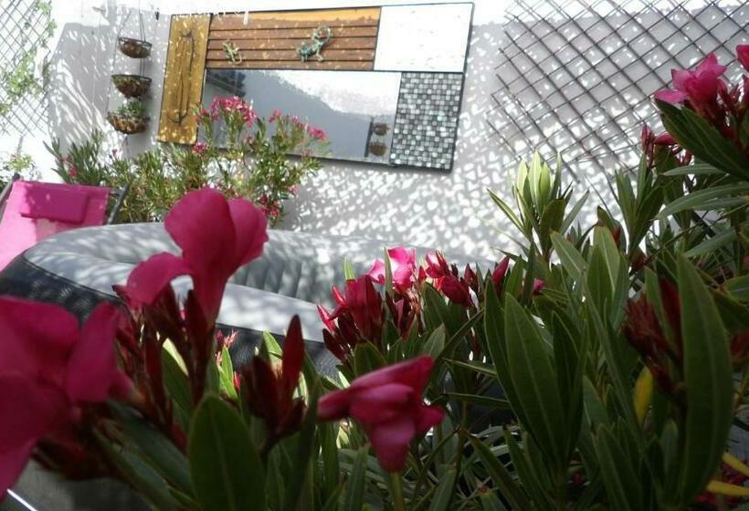 مبيت وإفطار Le Petit Patio