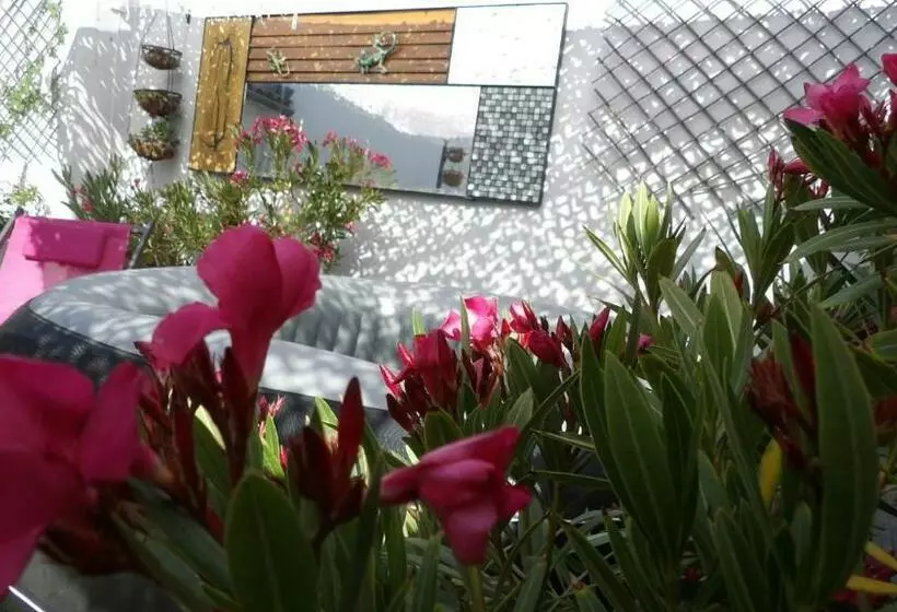 ベッドアンドブレックファースト Le Petit Patio