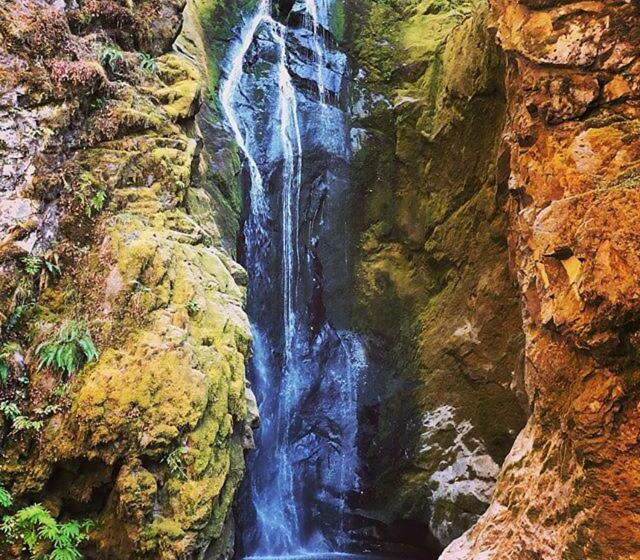 ベッドアンドブレックファースト Westfir Lodge