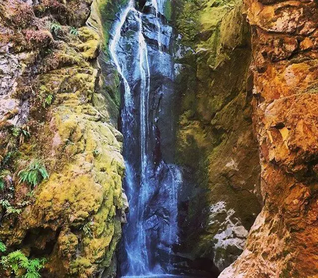 Aamiaismajoitus (B&B) Westfir Lodge