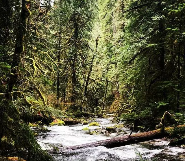 Aamiaismajoitus (B&B) Westfir Lodge