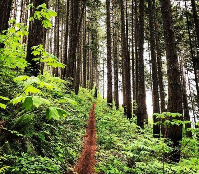 צימר Westfir Lodge