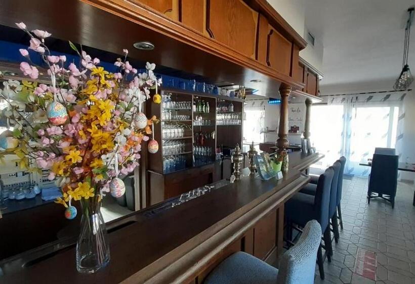 Отель & Restaurant   Zum Schleicher Kuckuck