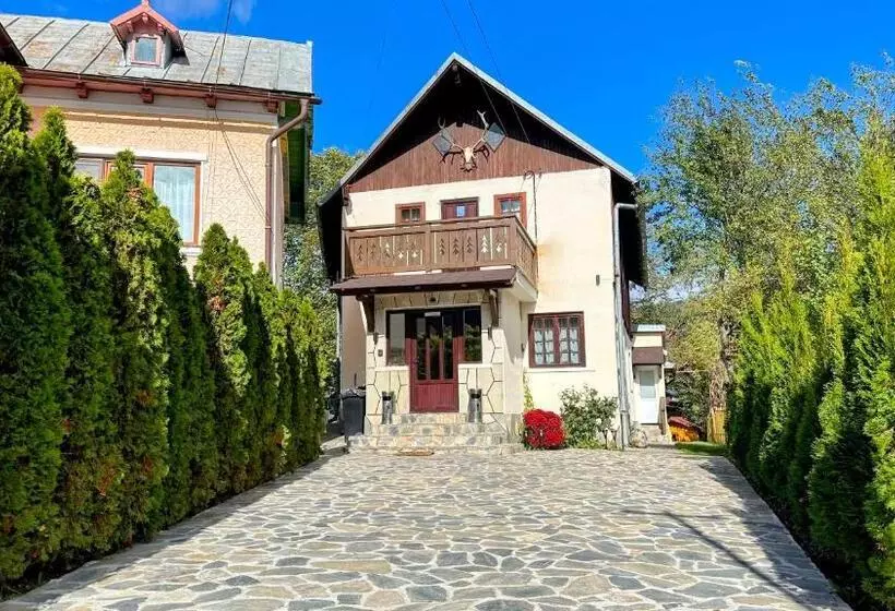 Pensão Bucegi View
