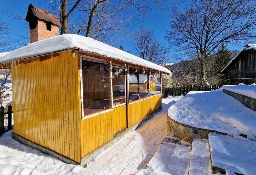 بنسيون Bucegi View