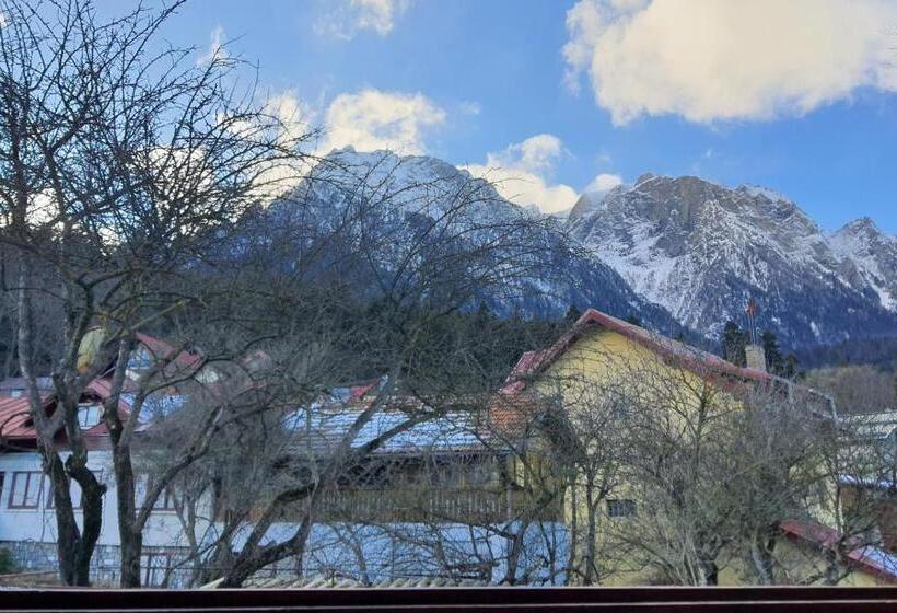 بنسيون Bucegi View