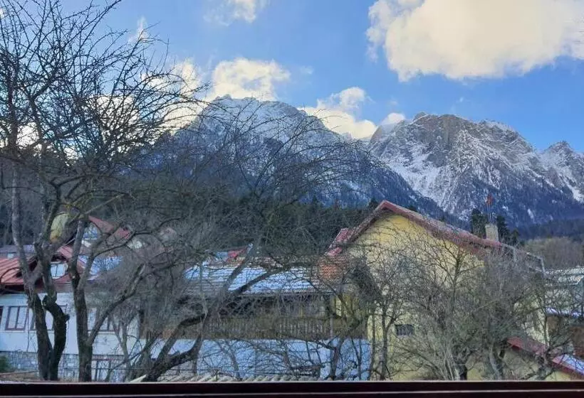 Pensão Bucegi View