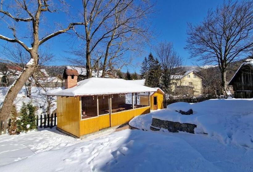 بنسيون Bucegi View