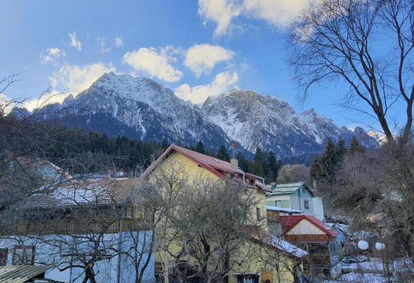 بنسيون Bucegi View