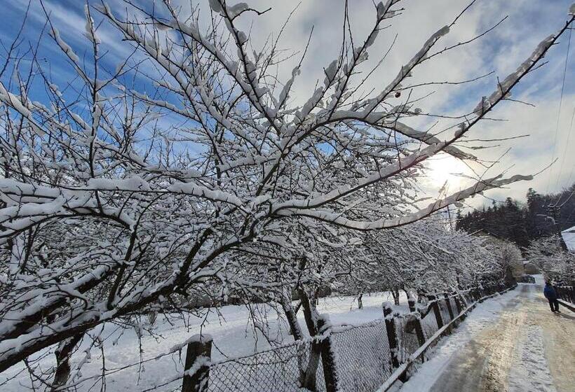 بنسيون Bucegi View