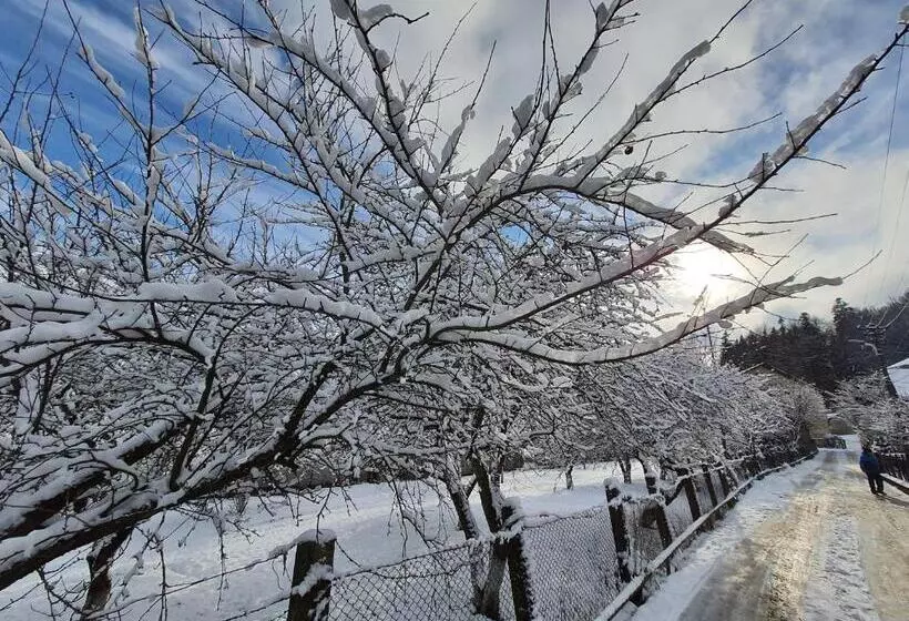 Pensão Bucegi View