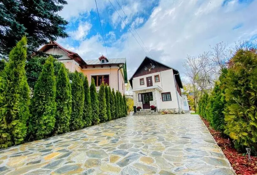 Pensão Bucegi View