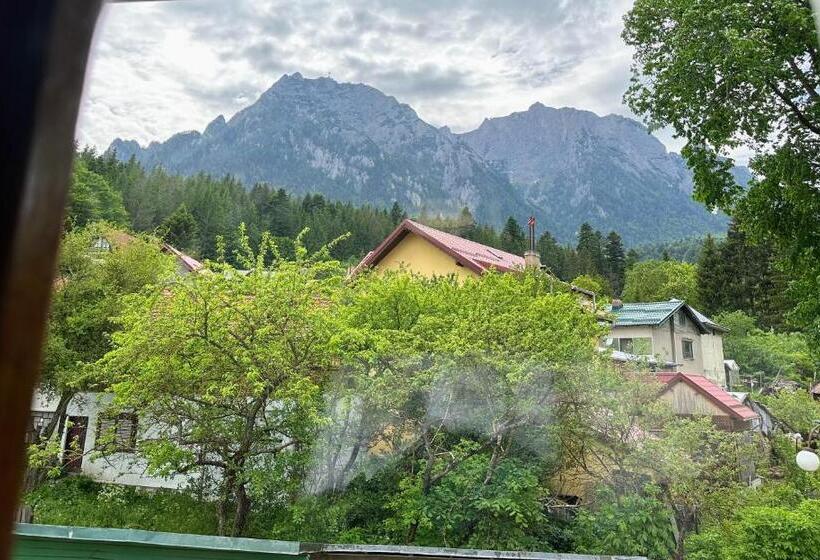 بنسيون Bucegi View