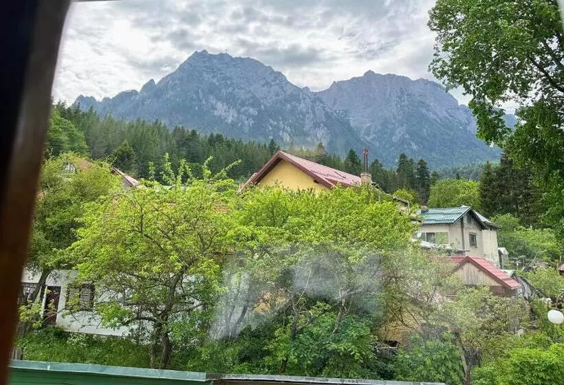 Pensão Bucegi View