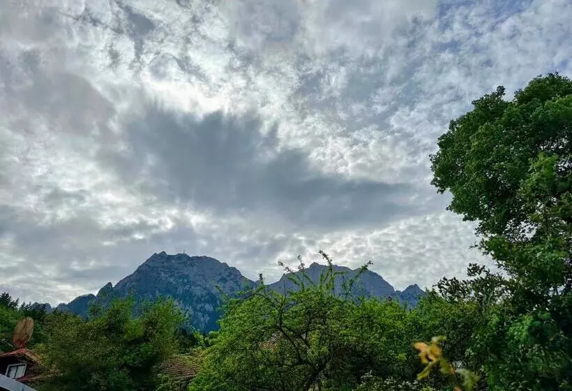 Pensão Bucegi View