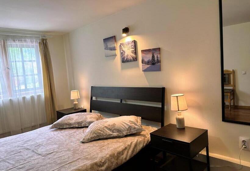 بنسيون Bucegi View