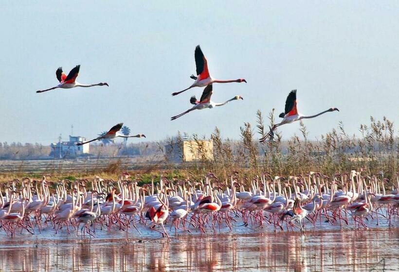 Пансион Hostal El Perelló, Valencia
